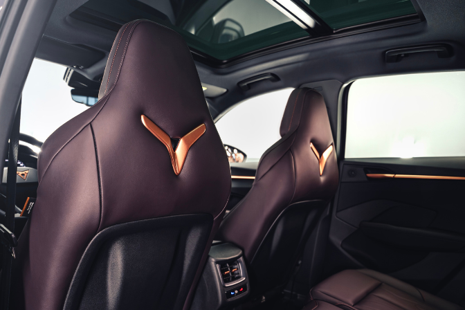 cupra%20Terramar